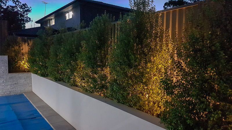 Pool area lighting for safety and ambience